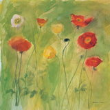 Poppies in Light Breeze by Michael Clark. SKU 8730a. Archival Giclee Fine art print for wall decor.