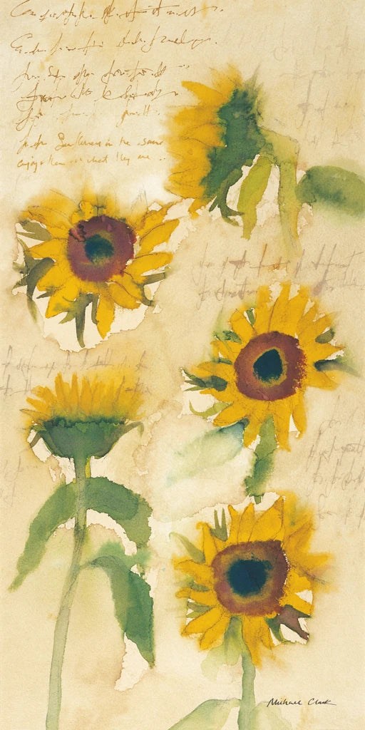Sunflowers on Script by Michael Clark
