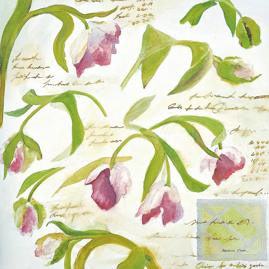 Tulips by Michael Clark. SKU 27458a. Archival Giclee Fine art print for wall decor.