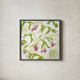 Tulips by Michael Clark. Shown in a sleek black glass frame for a contemporary gallery look. Available as an archival giclee rolled canvas, fine art paper, or poster print. SKU 27458a.