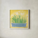 Window Box with Narcissi by Michael Clark. Shown in a crisp white glass frame for a clean and minimalist style. Available as an archival giclee rolled canvas, fine art paper, or poster print. SKU 8722a.