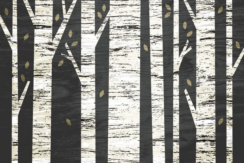 Birch Forest by Michael Mullan. SKU 22501i. Archival Giclee Fine art print for wall decor.