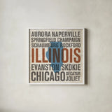 Illinois v2 by Michael Mullan. Shown in a crisp white glass frame for a clean and minimalist style. Available as an archival giclee rolled canvas, fine art paper, or poster print. SKU 20704a.