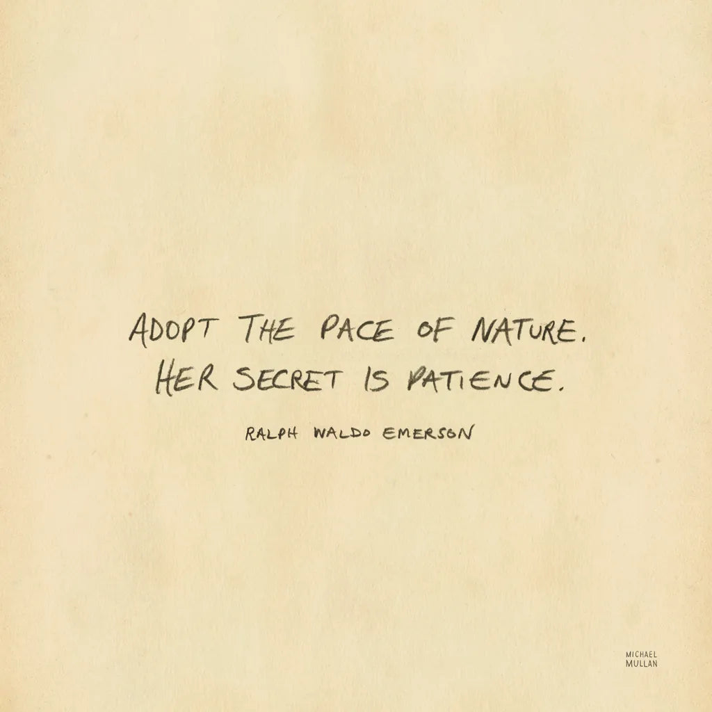 Outdoor Adventure VII by Michael Mullan. SKU 101007a. Archival Giclee Fine art print for wall decor.