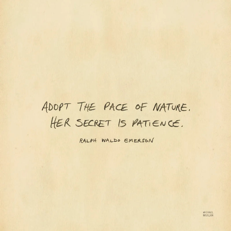 Outdoor Adventure VII by Michael Mullan. SKU 101007a. Archival Giclee Fine art print for wall decor.
