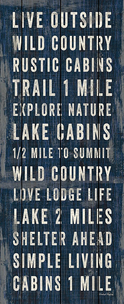 Simple Living Blue Panel I by Michael Mullan