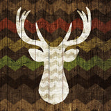 Southwest Lodge Deer II by Michael Mullan. SKU 17020a. Archival Giclee Fine art print for wall decor.