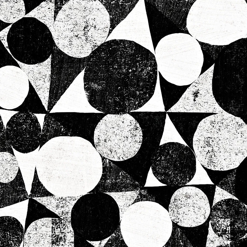 Spotty II by Michael Mullan. SKU 16740a. Archival Giclee Fine art print for wall decor.