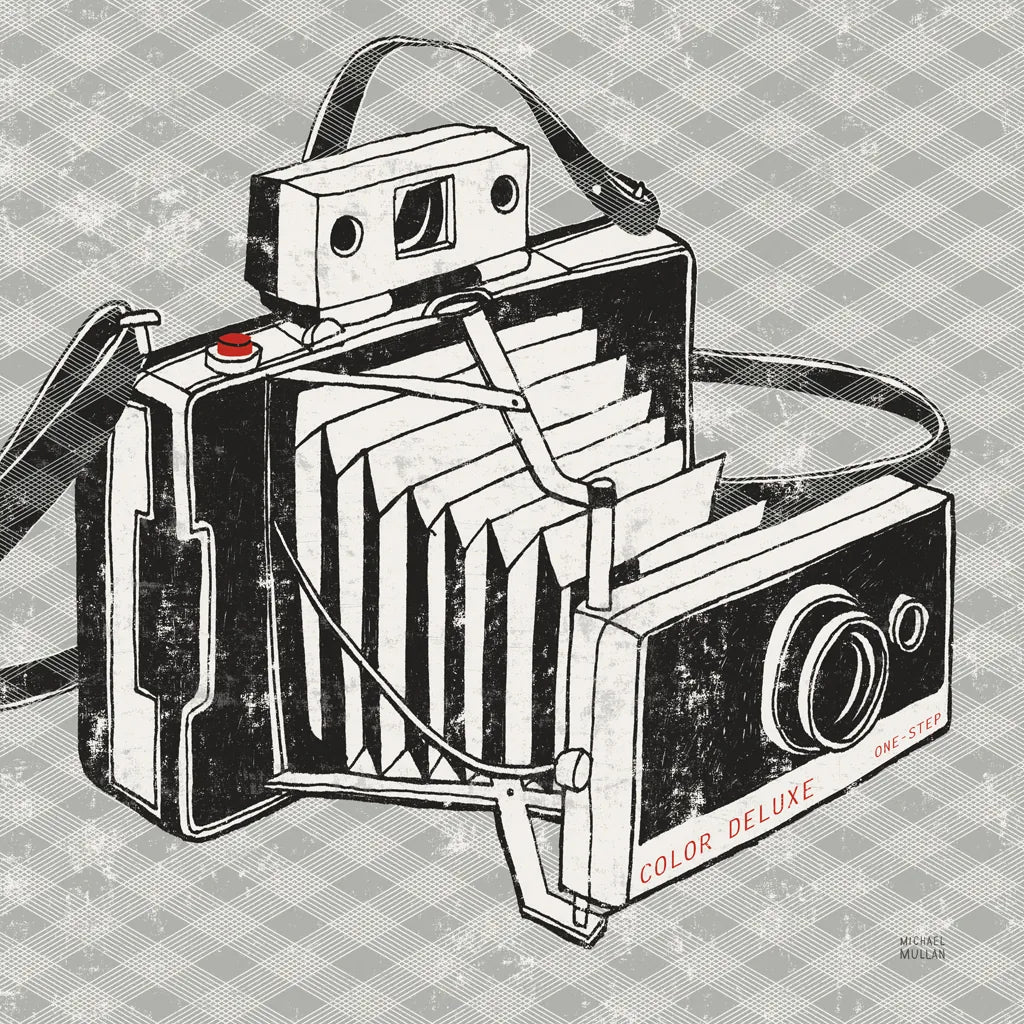 Vintage Analog Camera Gingham by Michael Mullan. SKU 51023a. Archival Giclee Fine art print for wall decor.