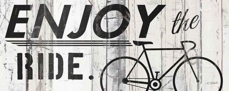 Enjoy the Ride by Mike Schick