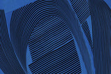 Weaving I Crop by Mike Schick. SKU 59965i. Archival Giclee Fine art print for wall decor.
