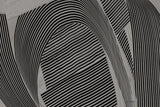 Weaving I Gray Crop by Mike Schick. SKU 79786i. Archival Giclee Fine art print for wall decor.