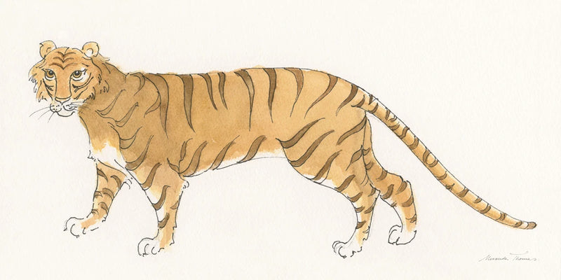 Big Cats I by Miranda Thomas