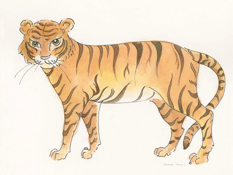 Big Cats III by Miranda Thomas