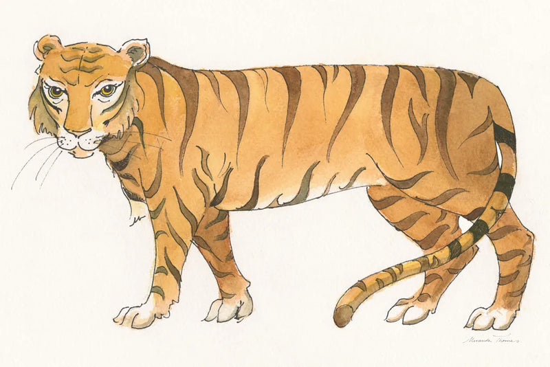 Big Cats IV by Miranda Thomas. SKU 53740i. Archival Giclee Fine art print for wall decor.