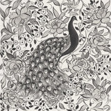 Peacock Garden III BW by Miranda Thomas. SKU 73117a. Archival Giclee Fine art print for wall decor.