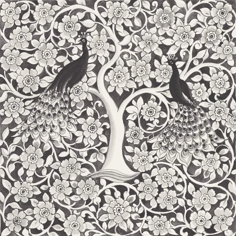Peacock Garden VII BW by Miranda Thomas. SKU 73119a. Archival Giclee Fine art print for wall decor.