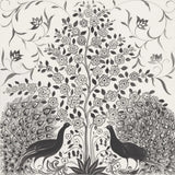 Peacock Garden VIII BW by Miranda Thomas. SKU 73120a. Archival Giclee Fine art print for wall decor.