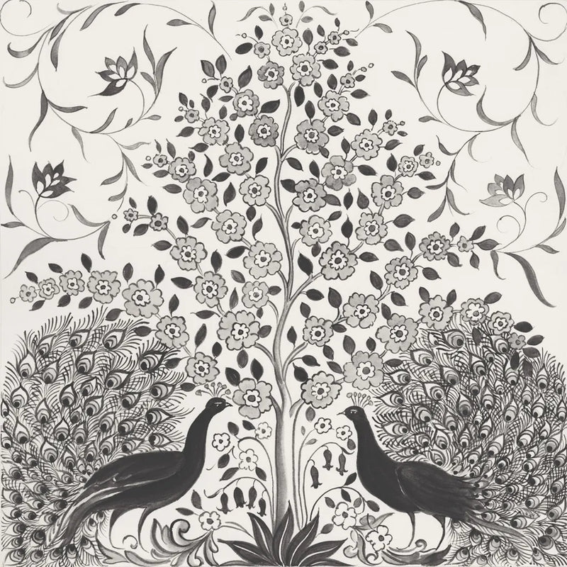 Peacock Garden VIII BW by Miranda Thomas. SKU 73120a. Archival Giclee Fine art print for wall decor.