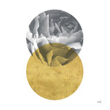 Blossoms I Gold by Moira Hershey. SKU 68997a. Archival Giclee Fine art print for wall decor.