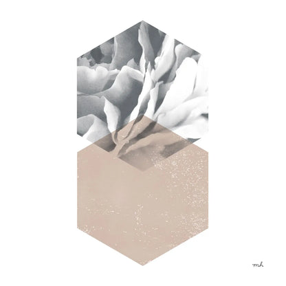 Blossoms IV  Warm v2 by Moira Hershey. SKU 58797a. Archival Giclee Fine art print for wall decor.