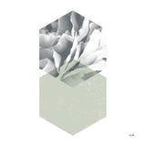 Blossoms IV Warm by Moira Hershey. SKU 58715a. Archival Giclee Fine art print for wall decor.