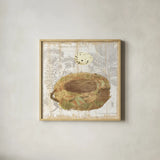 Botanical Nest I by Moira Hershey. Shown in a natural wood glass frame for a timeless modern aesthetic. Available as an archival giclee rolled canvas, fine art paper, or poster print. SKU 8383a.