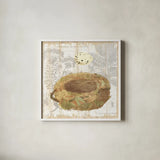 Botanical Nest I by Moira Hershey. Shown in a crisp white glass frame for a clean and minimalist style. Available as an archival giclee rolled canvas, fine art paper, or poster print. SKU 8383a.