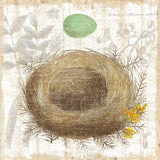 Botanical Nest II by Moira Hershey. SKU 8384a. Archival Giclee Fine art print for wall decor.