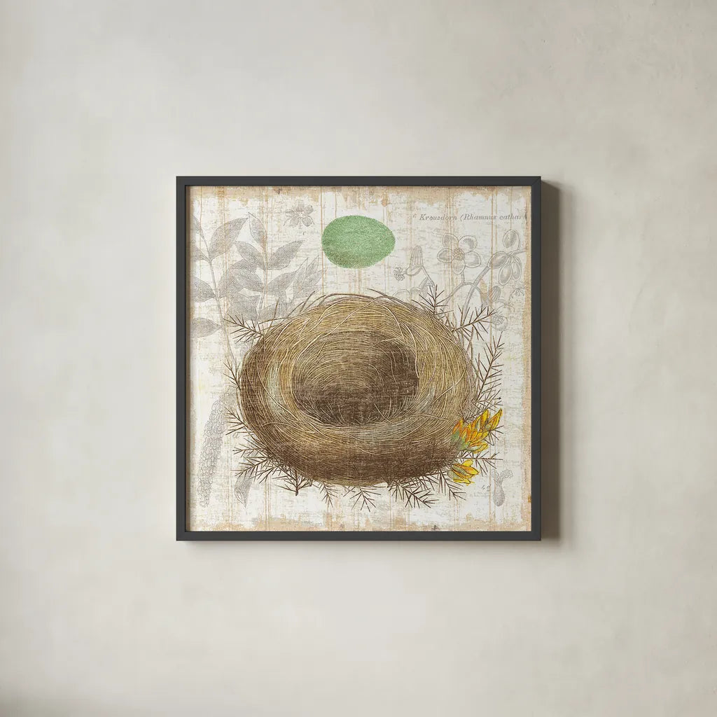 Botanical Nest II by Moira Hershey. Shown in a sleek black glass frame for a contemporary gallery look. Available as an archival giclee rolled canvas, fine art paper, or poster print. SKU 8384a.