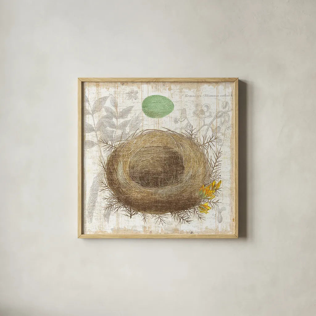 Botanical Nest II by Moira Hershey. Shown in a natural wood glass frame for a timeless modern aesthetic. Available as an archival giclee rolled canvas, fine art paper, or poster print. SKU 8384a.