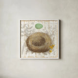 Botanical Nest II by Moira Hershey. Shown in a crisp white glass frame for a clean and minimalist style. Available as an archival giclee rolled canvas, fine art paper, or poster print. SKU 8384a.
