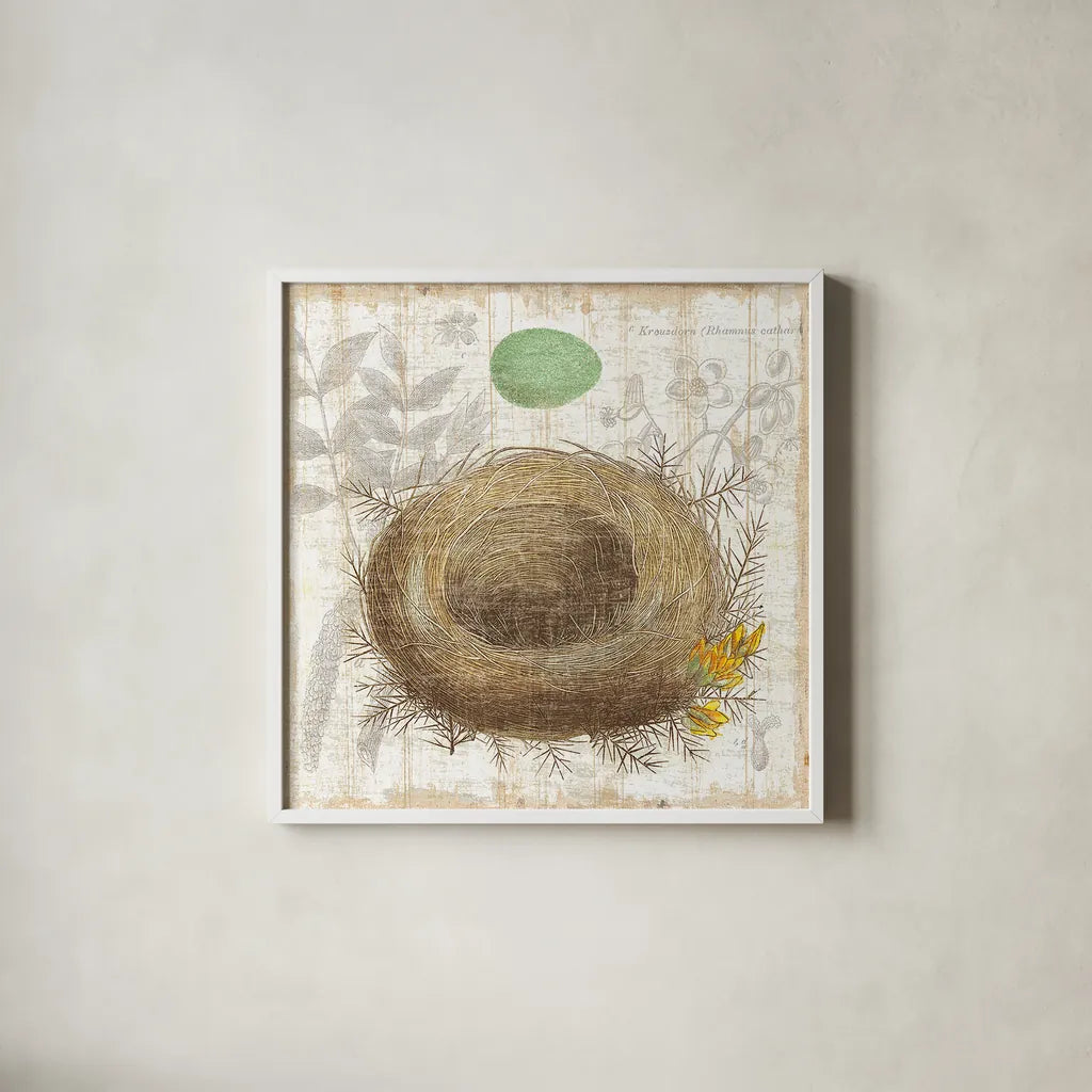 Botanical Nest II by Moira Hershey. Shown in a crisp white glass frame for a clean and minimalist style. Available as an archival giclee rolled canvas, fine art paper, or poster print. SKU 8384a.