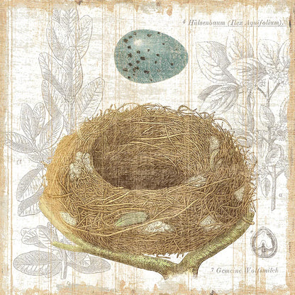 Botanical Nest III by Moira Hershey. SKU 8385a. Archival Giclee Fine art print for wall decor.