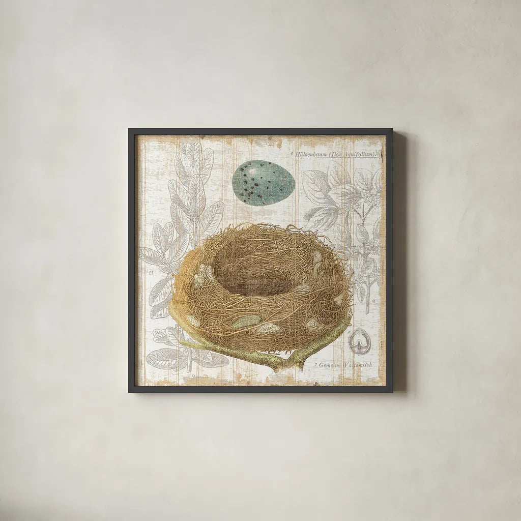 Botanical Nest III by Moira Hershey. Shown in a sleek black glass frame for a contemporary gallery look. Available as an archival giclee rolled canvas, fine art paper, or poster print. SKU 8385a.