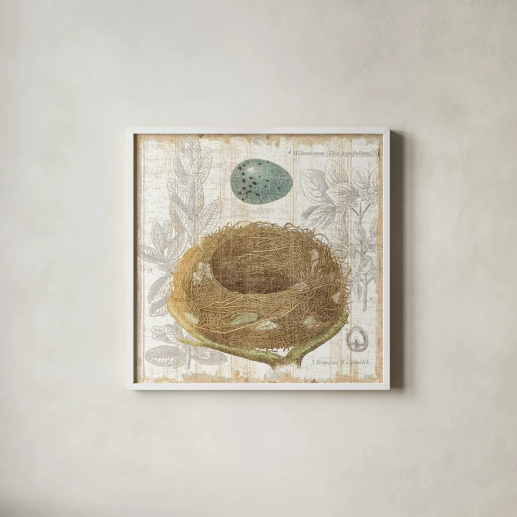 Botanical Nest III by Moira Hershey. Shown in a crisp white glass frame for a clean and minimalist style. Available as an archival giclee rolled canvas, fine art paper, or poster print. SKU 8385a.