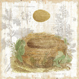 Botanical Nest IV by Moira Hershey. SKU 8386a. Archival Giclee Fine art print for wall decor.