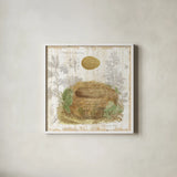 Botanical Nest IV by Moira Hershey. Shown in a crisp white glass frame for a clean and minimalist style. Available as an archival giclee rolled canvas, fine art paper, or poster print. SKU 8386a.