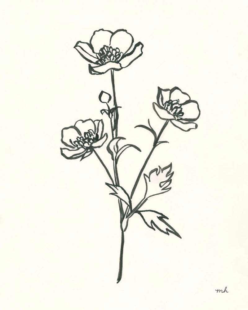 Buttercup by Moira Hershey