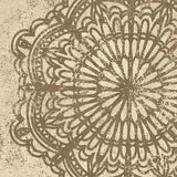Contemporary Lace VI Spice by Moira Hershey. SKU 16404a. Archival Giclee Fine art print for wall decor.