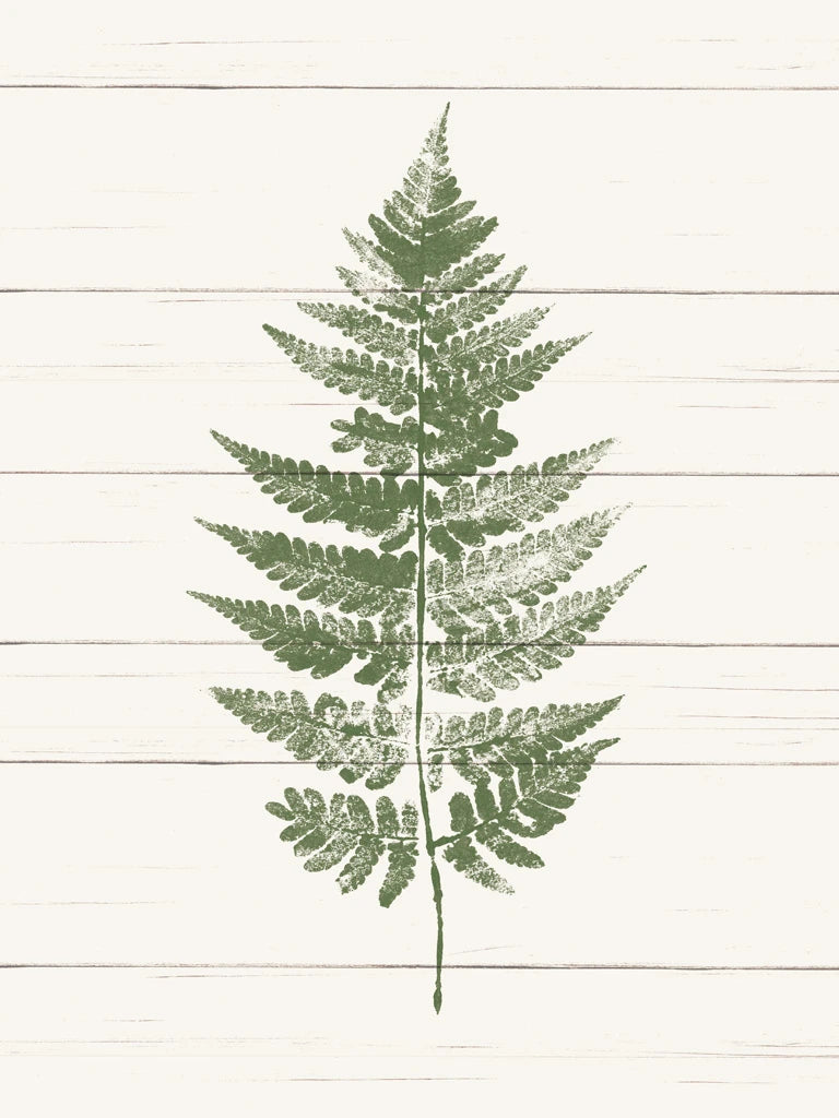 Fern Print I by Moira Hershey