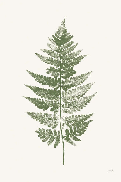 Fern Print I White Crop by Moira Hershey. SKU 67461h. Archival Giclee Fine art print for wall decor.