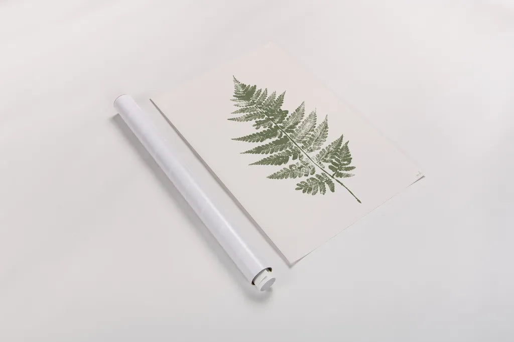 Fern Print I White Crop by Moira Hershey. shown as a rolled paper print. Available as archival giclee rolled canvas, fine art paper, or poster print. SKU 67461h.