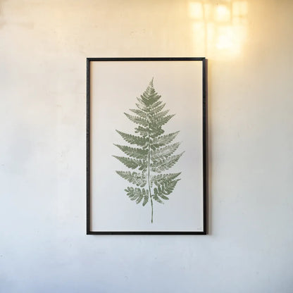 Fern Print I White Crop by Moira Hershey. shown as a paper print in a black flame. Available as a archival giclee rolled canvas, fine art paper, or poster print. SKU 67461h.