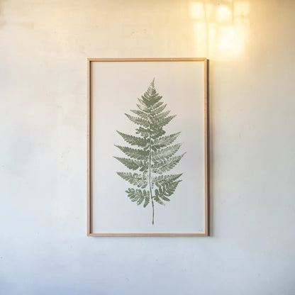 Fern Print I White Crop by Moira Hershey. shown as a paper print in a natural frame. Available as a archival giclee rolled canvas, fine art paper, or poster print. SKU 67461h.