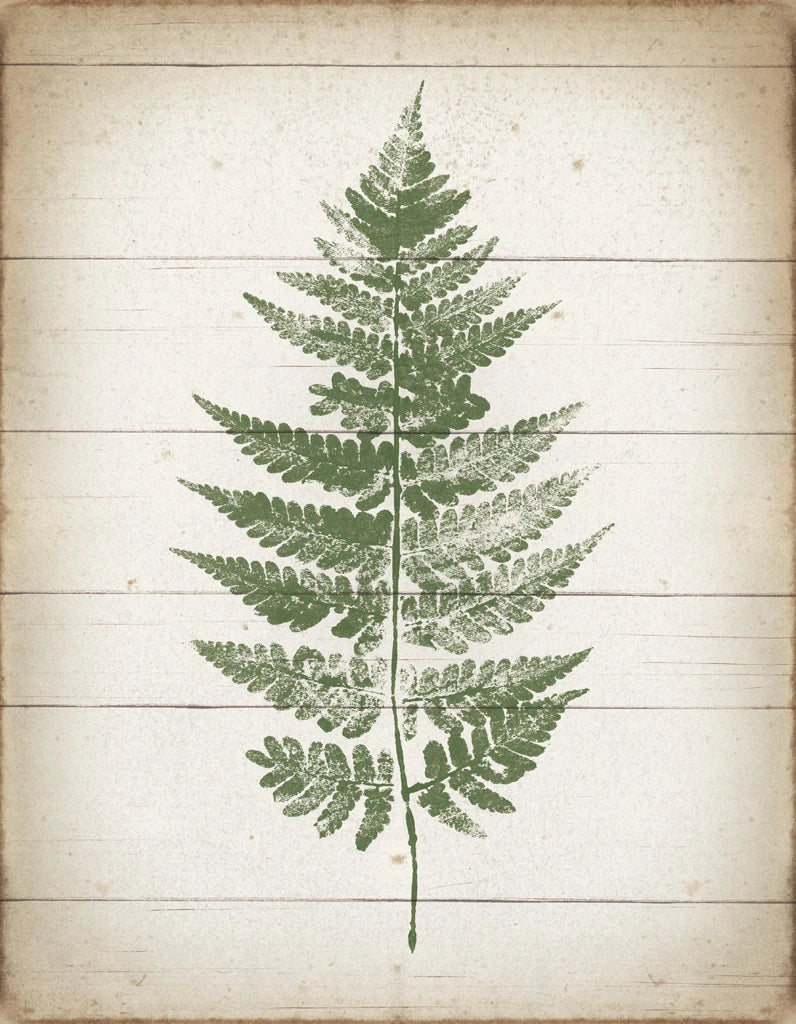 Fern Print I v2 by Moira Hershey