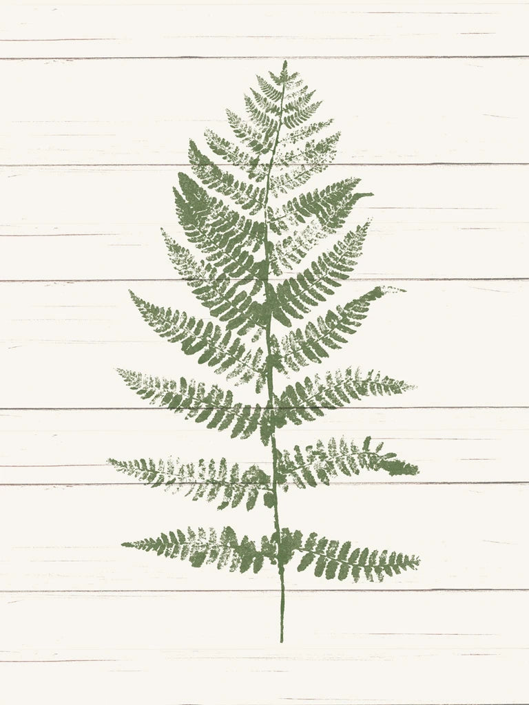 Fern Print II by Moira Hershey
