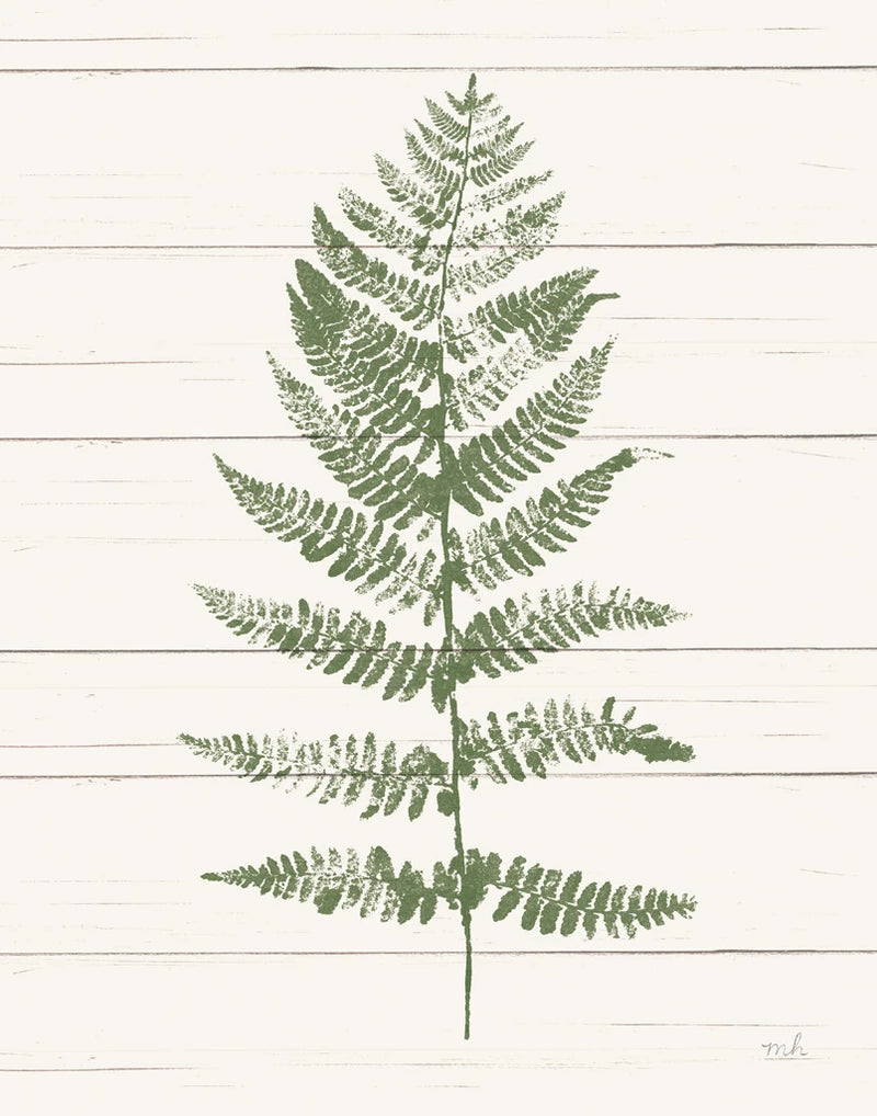 Fern Print II Crop by Moira Hershey