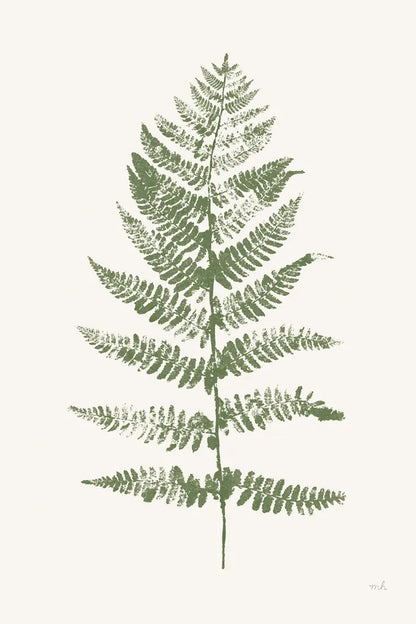 Fern Print II White Crop by Moira Hershey. SKU 67462h. Archival Giclee Fine art print for wall decor.