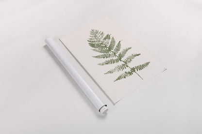 Fern Print II White Crop by Moira Hershey. shown as a rolled paper print. Available as archival giclee rolled canvas, fine art paper, or poster print. SKU 67462h.